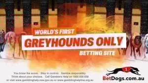 Betdogs greyhound only